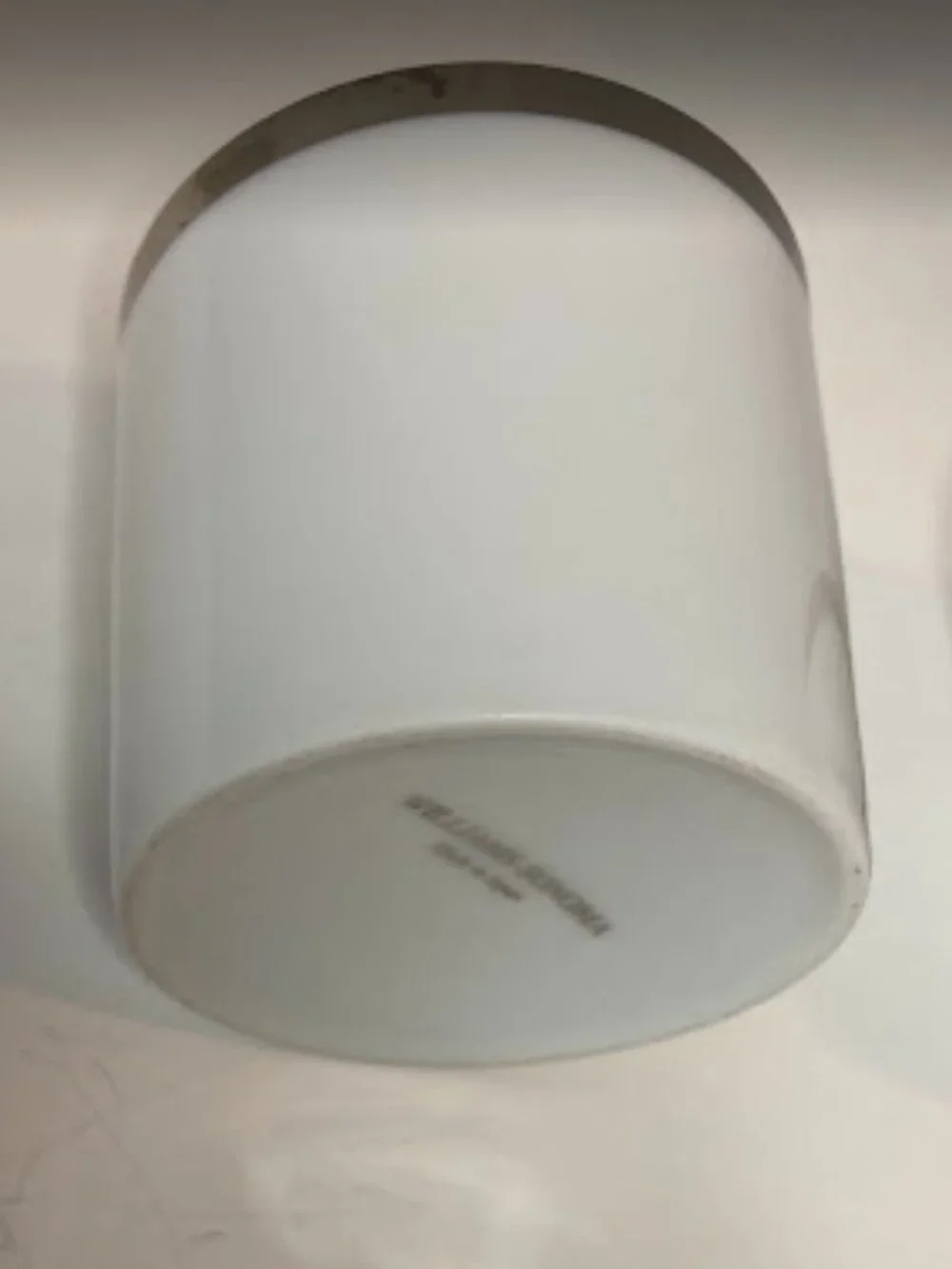 Williams Sonoma Porcelain Tea Cups